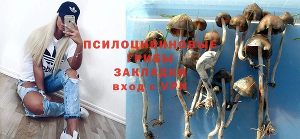 spice Алексеевка